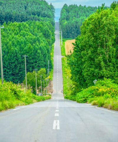 長い道