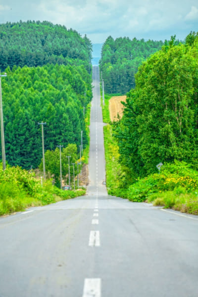 長い道